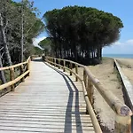 Livenza Lejlighed